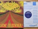 SAVOY BROWN 'RAW SIENNA' 1970 1st PRESS DECCA G/FOLD LP