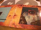 The Spacious Mind Sleepy Eyes And Butterflies 1995 DLP Gates Of Dawn