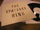 The Spacious Mind Garden Of A Well Fed Head  19957 LP LSD 003 lmt.600