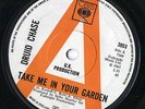 DRUID CHASE - Take Me In Your Garden UK CBS 7