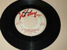 VOCAL GROUP 45RPM RECORD - THE MAGNIFICENTS - VEE JAY 183 - PROMO