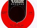 THE GRAINS OF SAND on Valiant Garage 45 Hear