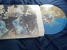 Converge Axe To Fall /300 have heart trap them rival mob sxe