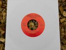RARE DETROIT NS - ROSE BATISTE - That's What He Told Me - RIC-TIC - SUPERB MINT-