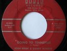 JOHN REEDY & DANNY ROBERTS Going To Tennessee ROCKABILLY BOPPER JALYN HEAR
