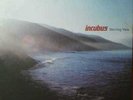 Incubus Morning View Original 2 LP