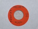 1966 Michigan Garage-The Pastels-Cause I Love You-Phalanx 45
