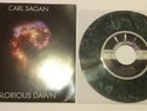 Carl Sagan A Glorious Dawn 7