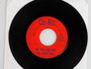 The Liberty Bell Texas Garage Psych 45 Cee-Bee