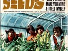Garage 45 THE SEEDS Can't Seem To Make You Mine/I Tell Myself Rare Pic Sleeve