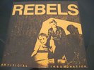  SWISS PUNK REBELS Artificial Insemination 1979 7