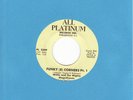 WILLIE & THE MIGHTY MAGNIFICENTS funky (8) corners ALL PLATINUM funk 45 Listen ?