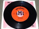 RARE POWER POP The Roamers Don't Matter b/w Nothing At All 45 w/Pic Slv UNPLAYED