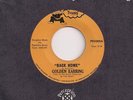 GOLDEN EARRING : BACK HOME  As Long (Dwarf PD 2000 )Rare 1970 US Press 45 LISTEN