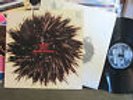 LIZZY MERCIER DESCLOUX LP MAMBO NASSAU '81 rare orig no wave funk synth dance