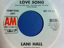 LANI HALL Rare Soul Folk Funk 45 LOVE SONG   A&M