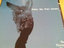 Sunny Day Real Estate The Rising Tide Green 2 Disc