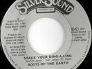 ROOTS OF THE EARTH / VAN JONES & JAYS: Shake Your Ding-a-ling / I Fooled Myself
