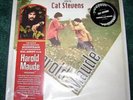 Cat Stevens 