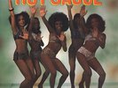 HOT SAUCE s/t RARE FRENCH PRESS KILLER DISCO LP ?