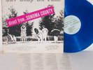 $27 SNAP ON FACE: Heterodyne State Hospital LP private garage psych