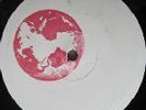 VINYL HARDTEK TRIBE LIGHT SPEED DRIVERS --LSD 003