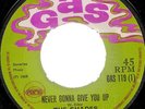 THE SHADES / NEVER GONNA GIVE YOU UP /  LISTEN