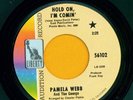 PAMELA WEBB   60s girl garage soul rock. Big FUZZ guitar. HEAR IT