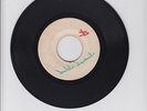 BLANK/DOUBLE DYNAMITE - MUSIC SPECIALIST   (REGGAE INSTRUMENTAL 7)