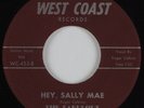 Rockabilly 45 FABULOUS SILVER TONES Hey, Sally Mae WEST COAST HEAR NM