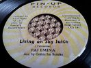 PALEMINA - LIVING ON SKY JUICE // PIN-UP 7