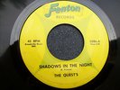 60s MICHIGAN GARAGE--QUESTS--SHADOWS IN THE NIGHT / I'M TEMPTED--FENTON 2086