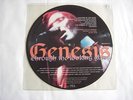 RARE LIMITED NUMBER 53 OF 100 GENESIS THROUGH THE LOOKING GLASS PICTURE DISC