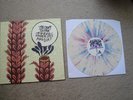 The Story So Far - Under Soil And Dirt 12
