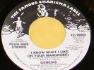 1973 Genesis Phil Collins I Know What I Like  Radio Plug Promo 45 rpm Record