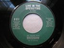 BUZZSAW Live In The Springtime 45 garage psych fuzz Lemon Drops ?