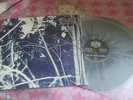 THOU SHALT SUFFER: Into the Woods of Belial DLP ADVANCE COPY / MISSPRESS LTD 