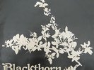 BLACKTHORN - Same ,  british folk