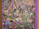STONE ROSES - So Young / Tell Me 12