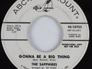 Northern Soul 45 SAPPHIRES Gonna Be A Big Thing ABC-PARAMOUNT HEAR