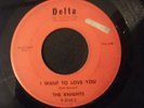 THE KNIGHTS THOSE THINGS YOU DO 45 I WANT TO LOVE YOU DELTA R-2048 RARE GARAGE