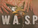 W.A.S.P. -Animal (F**k Like A Beast) - 1984 CANADIAN BANZAI 2-Track 12