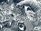 LP KANGAROO KOURT Interstellar Static PRIVATE USA Experimental Electronic DIY nr