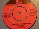 JOE MEEK BOBBY RIO & THE REVELLES EVERYTHING IN THE GARDEN 1965 PYE BRILLIANT