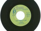 RARE 45 RPM Joey & The Lexingtons, Dunes Records 2029 Bobbie/Tears From My Eyes