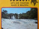 SUNBUST BLACK HIPPIES FELA AMANAZ DEMON FUZZ AFRO PSYCH GARAGE FUZZ FUNK AFRICAN
