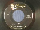 THE TWILIGHTS Wisconsin surf/garage 45 .007 / YOU MAKE ME FEEL SO GOOD  CUCA M-