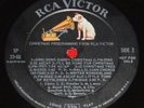 Elvis 