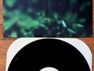 Lilys - LP 