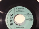 THE PRECISIONS - If This Is Love